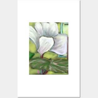 Cyclamen Posters and Art